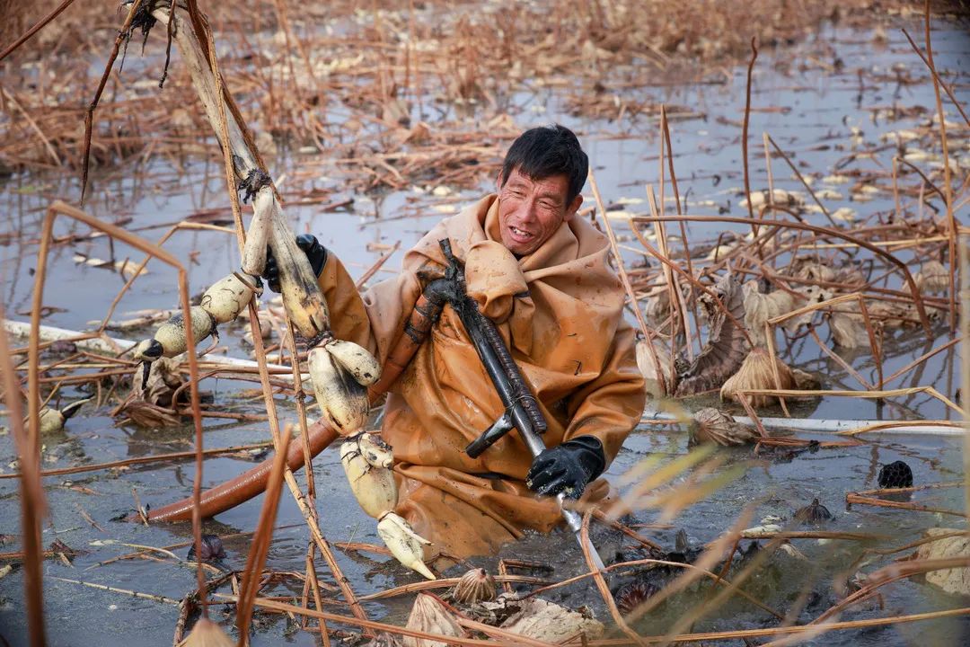 迎接党的20大美术作品,喜迎二十大乡村摄影展