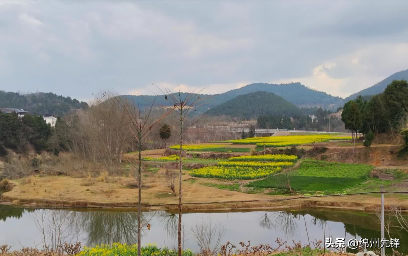 绵阳全省乡村振兴先进市,绵阳特色乡村振兴之路