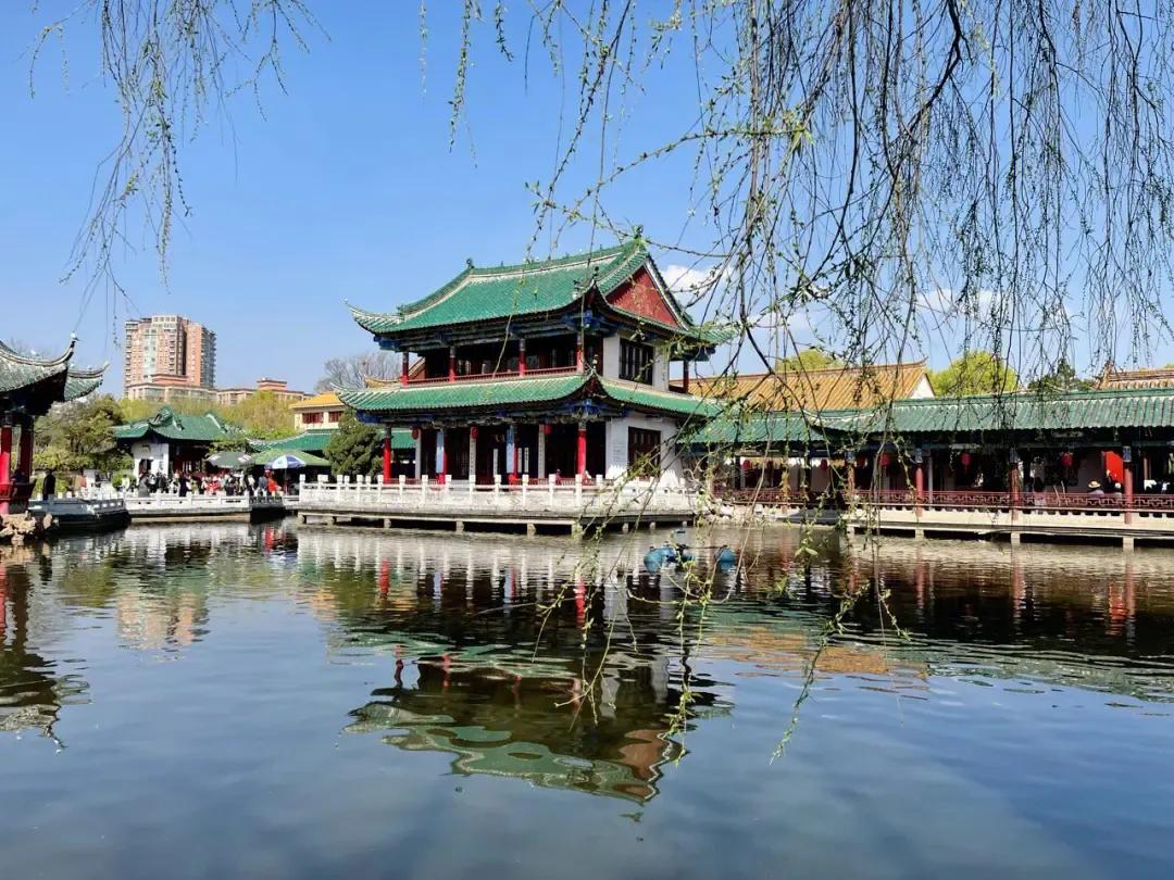 夏天云南最适合避暑的城市,云南既适合避寒又适合避暑的地方