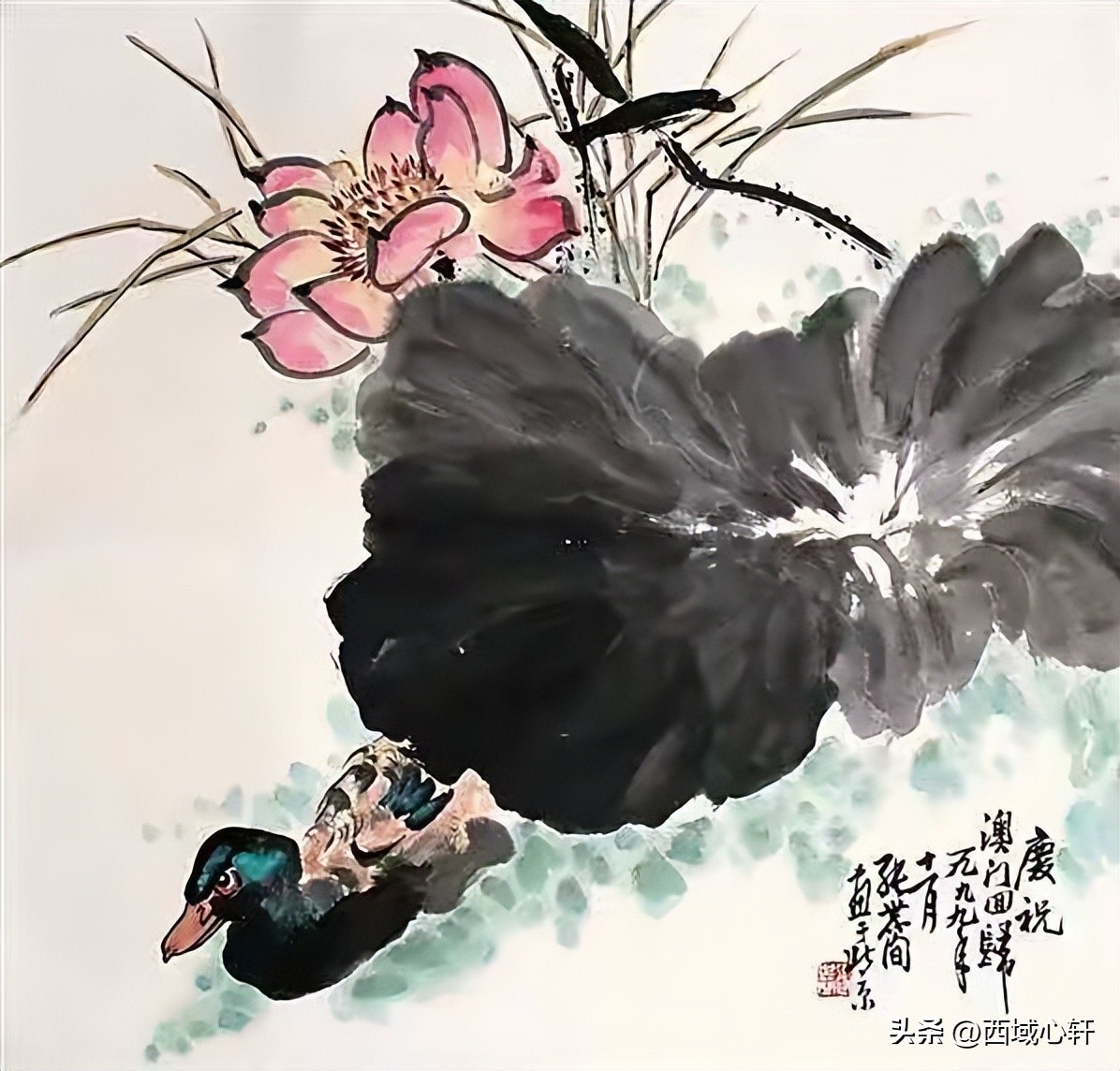 接天莲叶无穷碧映日荷花图片大全,莲叶无穷碧映日荷花别样红三幅图