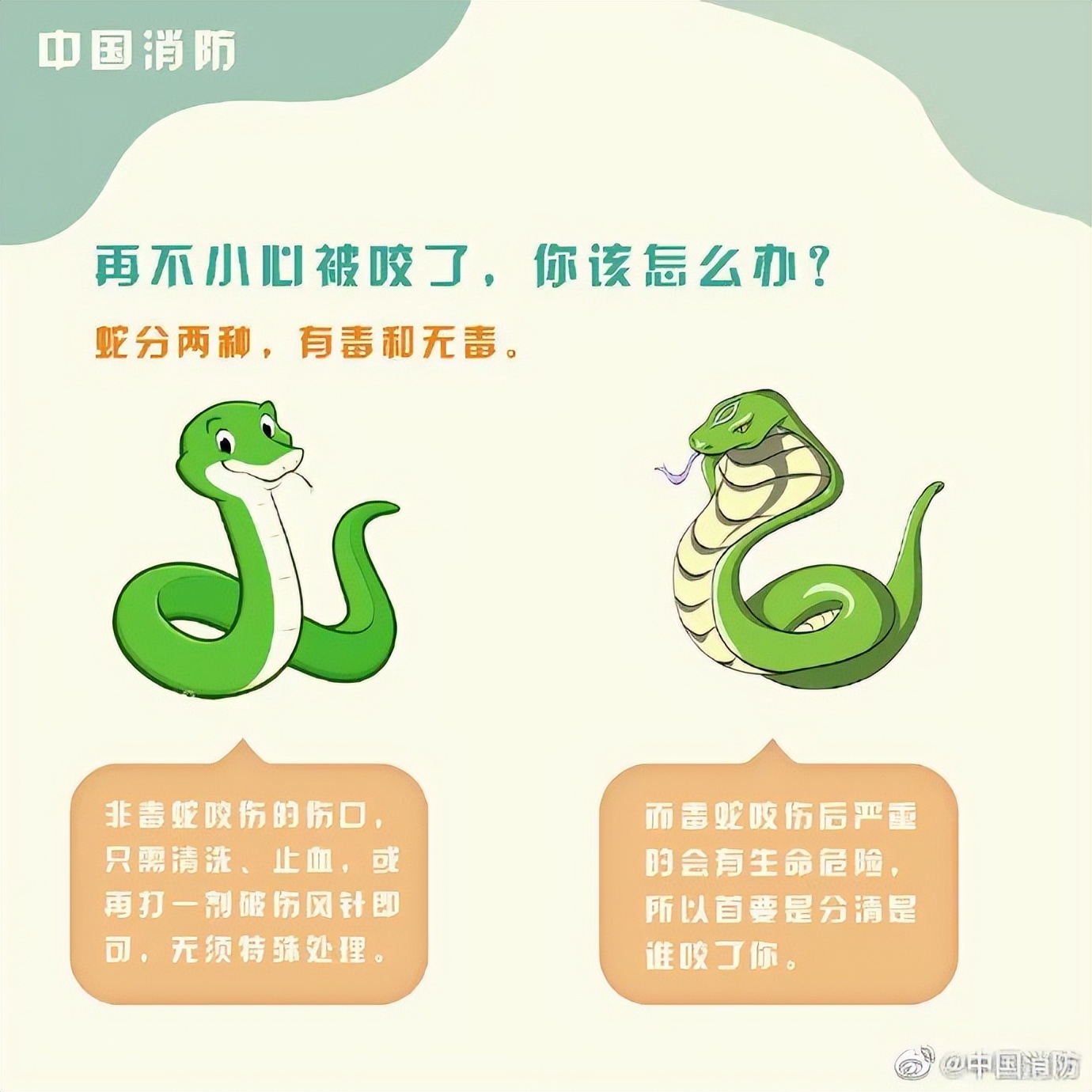 男子睡觉被蛇缠脚,男子被蛇缠腿3米