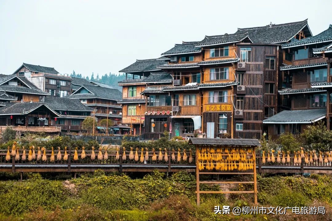 柳州小长假游玩攻略,秋游柳州滨水大道