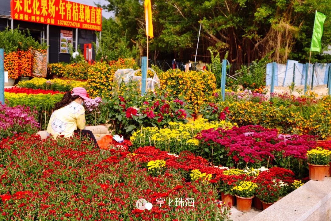 珠海有没有批发市场,珠海批发市场几点开始批发