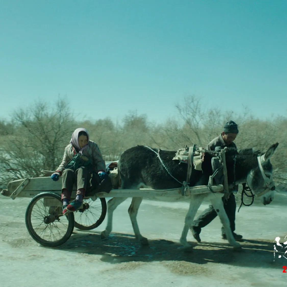 卑微的麦子也渴望蓝天——观《隐入尘烟》有感