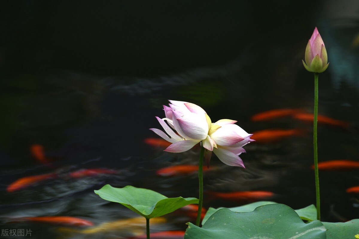 喜欢美食的朋友不要错过,喜欢美食的人要去哪些城市旅游
