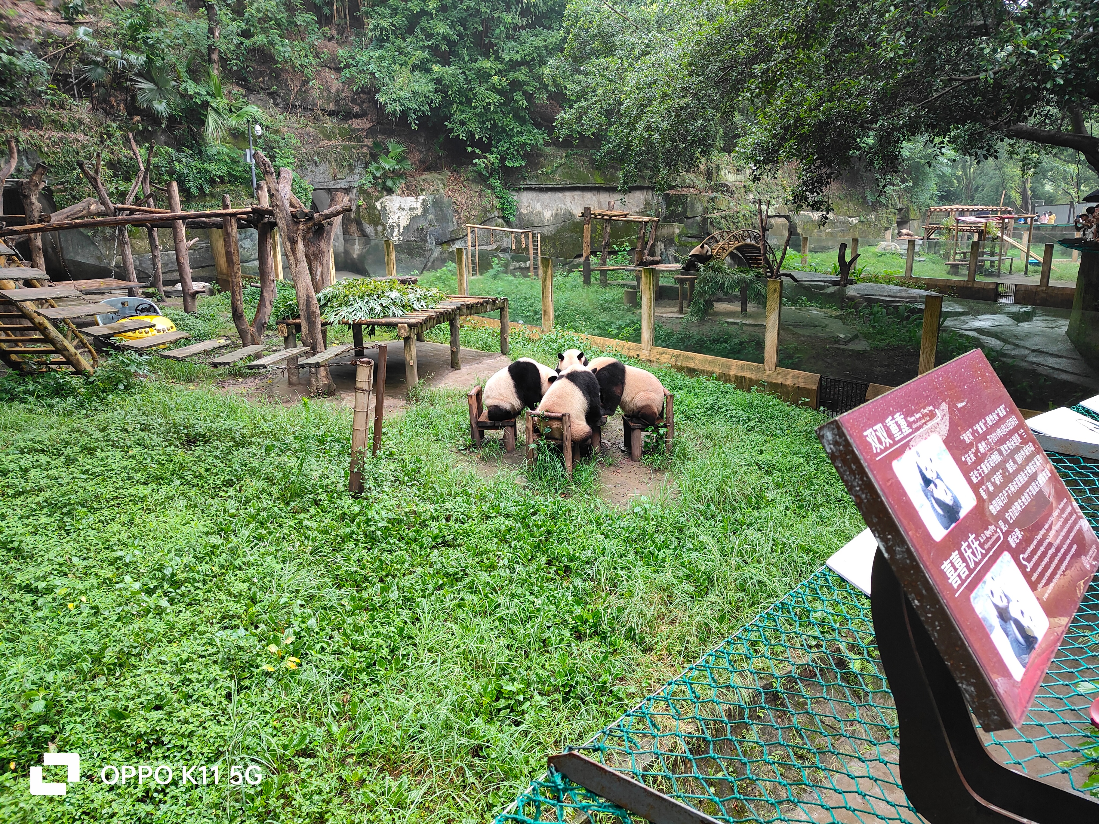 为什么oppok11画质不太好,oppok11为什么王者不能分屏