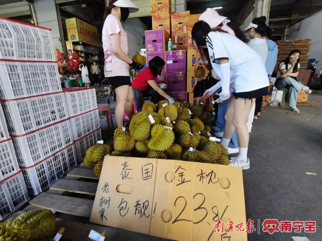 榴莲爱好者去果园,榴莲爱好者来打卡