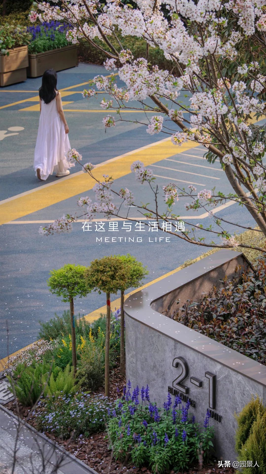 龙湖金茂北岛景观,重庆龙湖金茂北岛位置在哪里