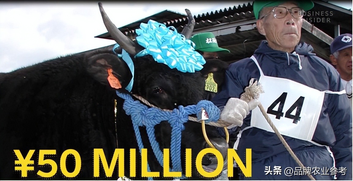 日本和牛和国内卖的和牛有啥区别,日本顶级和牛了解一下