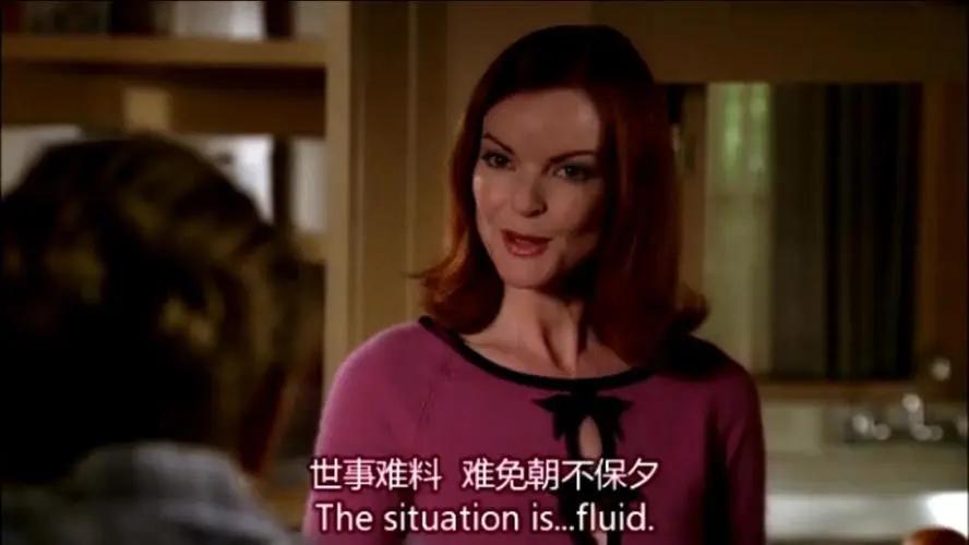 绝望的主妇的主要内容是讲述什么,《绝望的主妇》讲解长篇