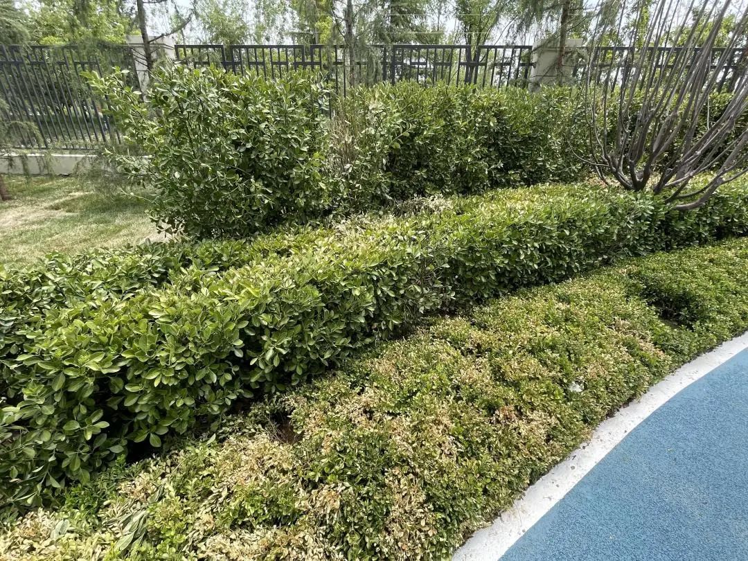 提前半年交房靠谱吗,提前半年交房装修的房子是现房吗