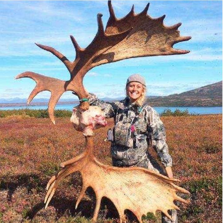 神奇“仙兽”—驼鹿究竟有多牛？很多国家定期猎杀，我国为何保护