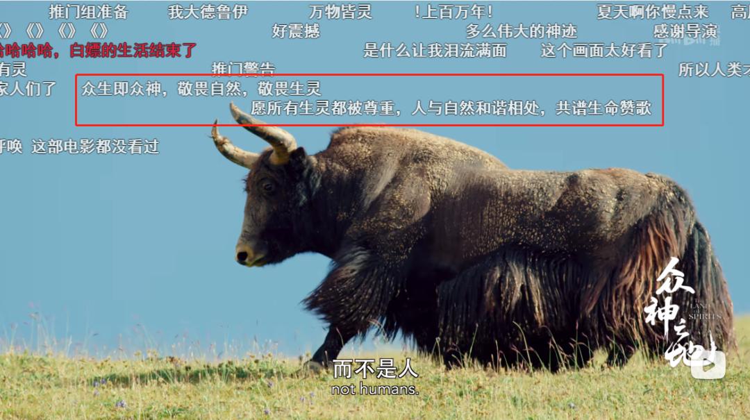 百万粉丝女网红“吃播”后被封杀,网友怒了:别让孩子毁于无知