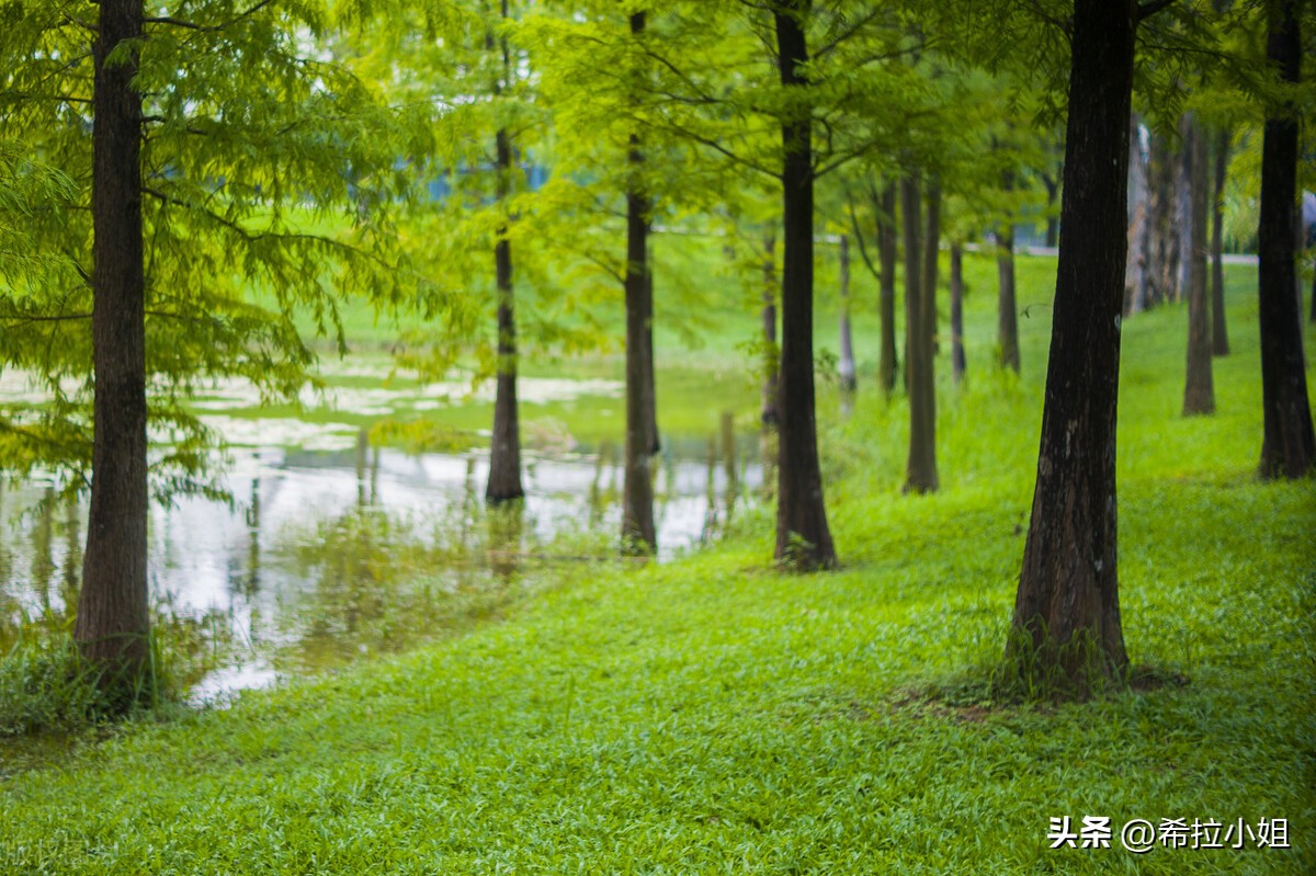 广州最值得去的景点旅游攻略,旅游攻略广州必去的六大景点