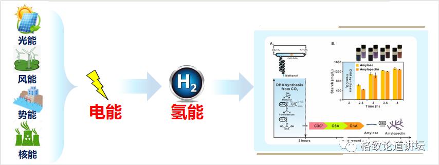 二氧化碳变成淀粉靠谱吗,用二氧化碳合成的淀粉怎样吃