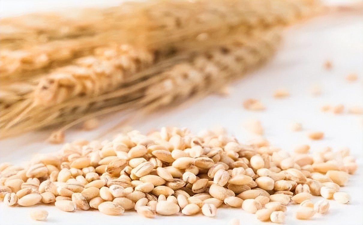 木聚糖醇和木聚糖酶有啥区别,木聚糖酶喂牛的功能及应用