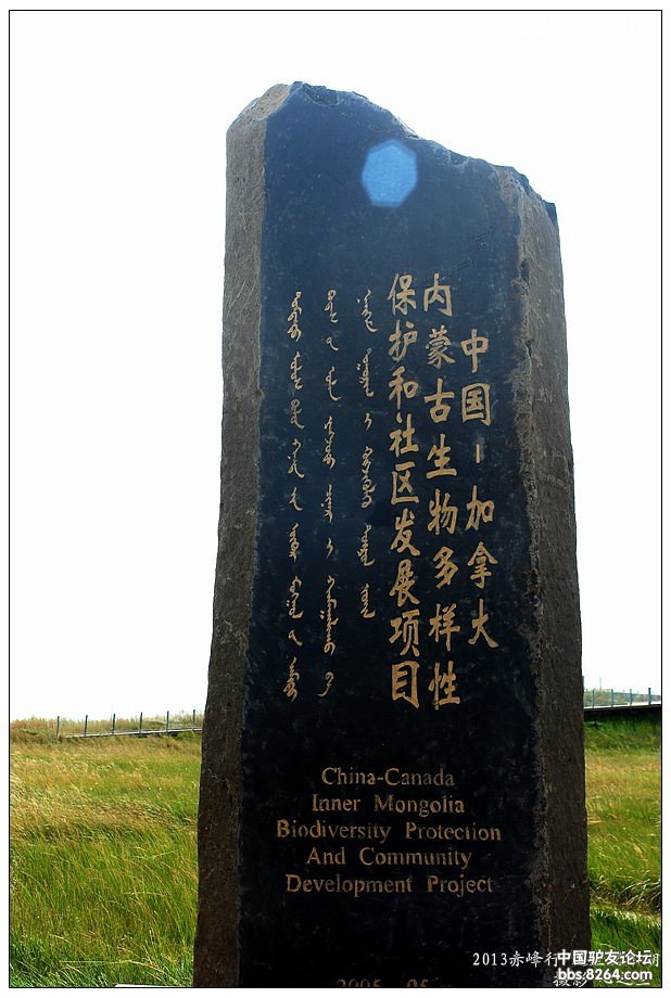 内蒙古自驾游达里诺尔,内蒙古达里诺尔湖旅游视频