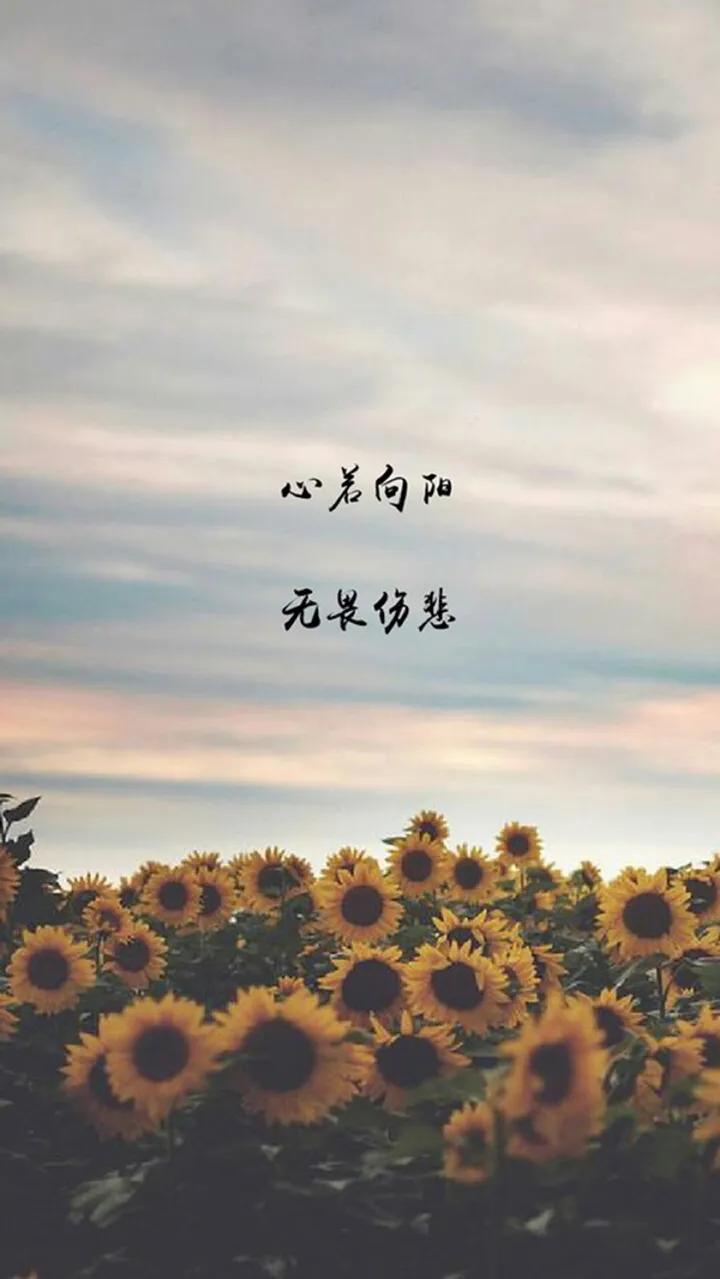 就怕猎人和猎物之间有感情,猎物和猎人有什么关系