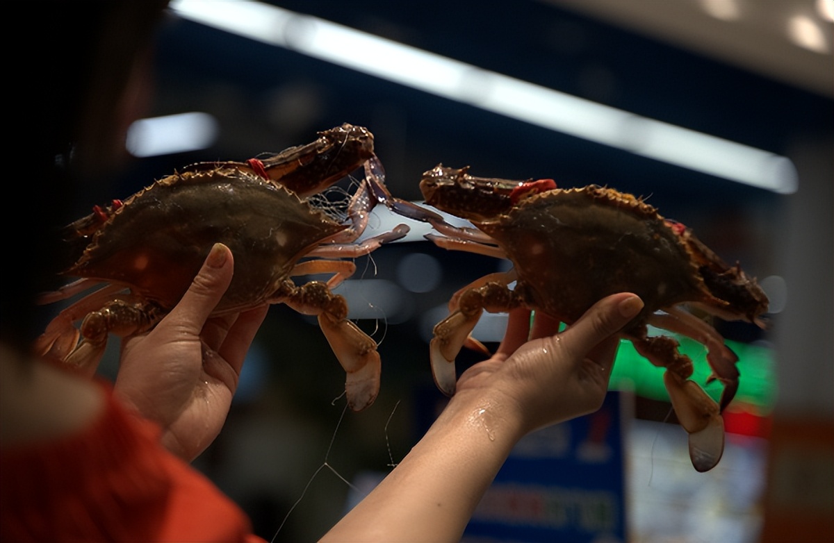 营口温泉之乡,辽宁省营口温泉排名