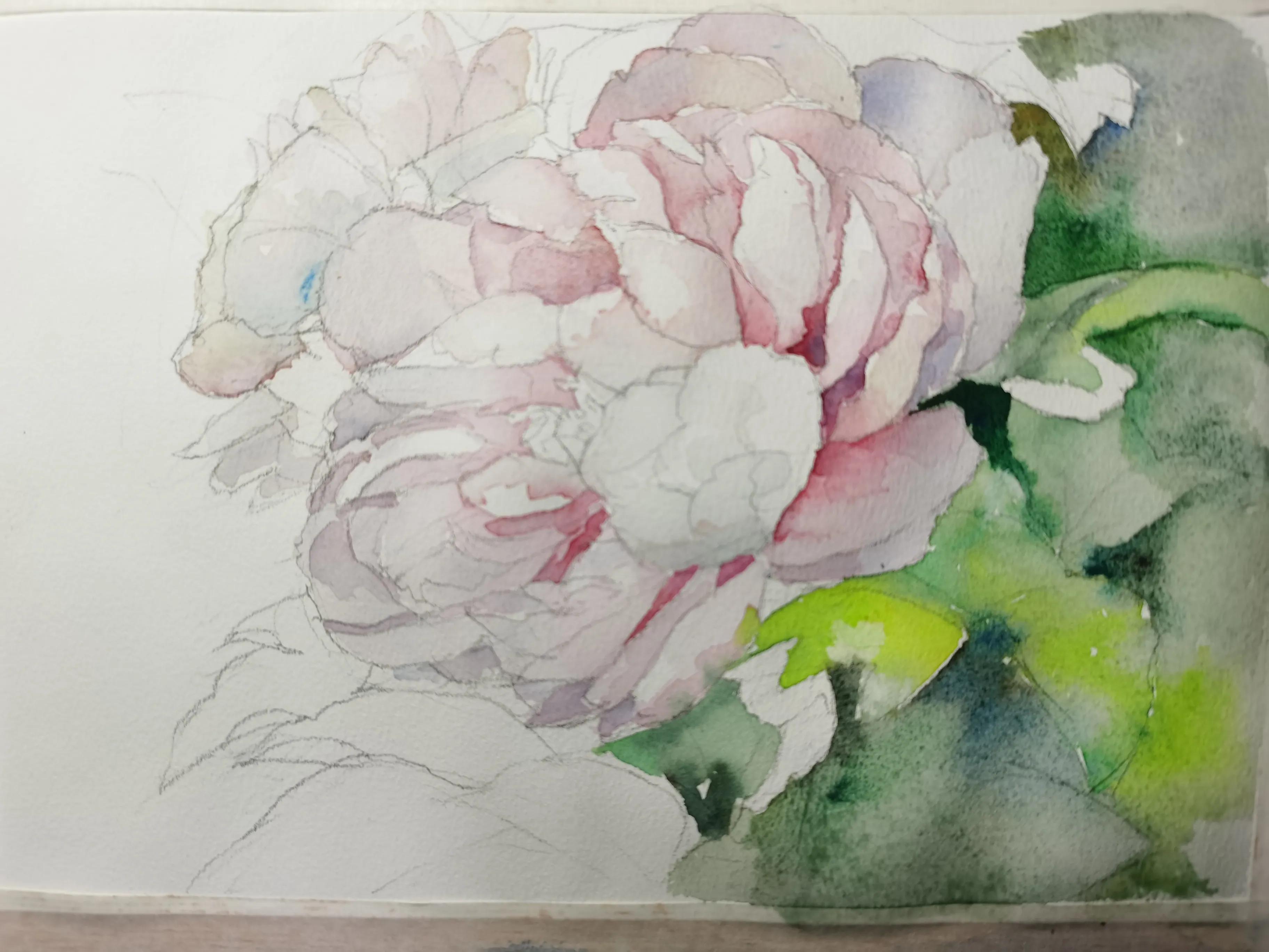 画侧面的两种方法,画准确线稿