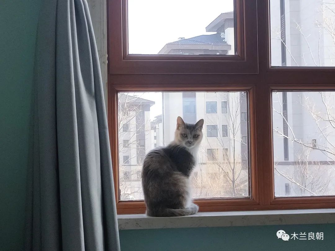 亲爱的大白我想对您说,亲爱的大白