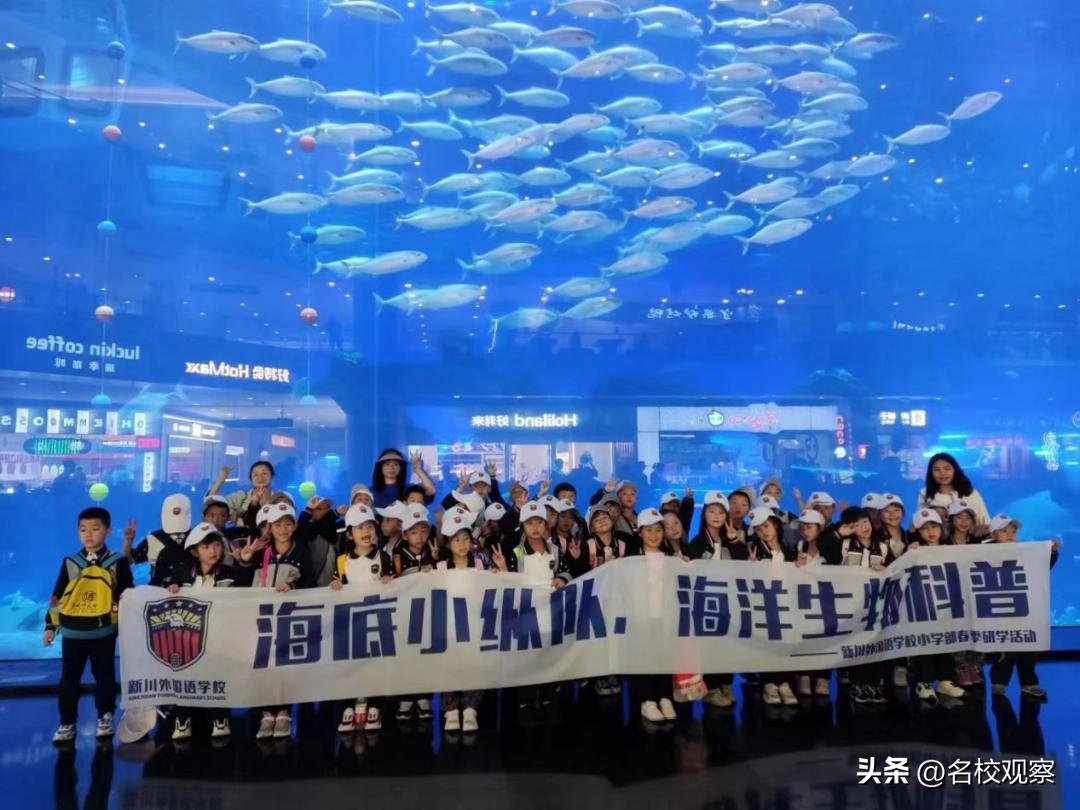 蔚蓝做苍穹，鱼儿变繁星！新川学子，走进浩海立方，探秘无限海洋