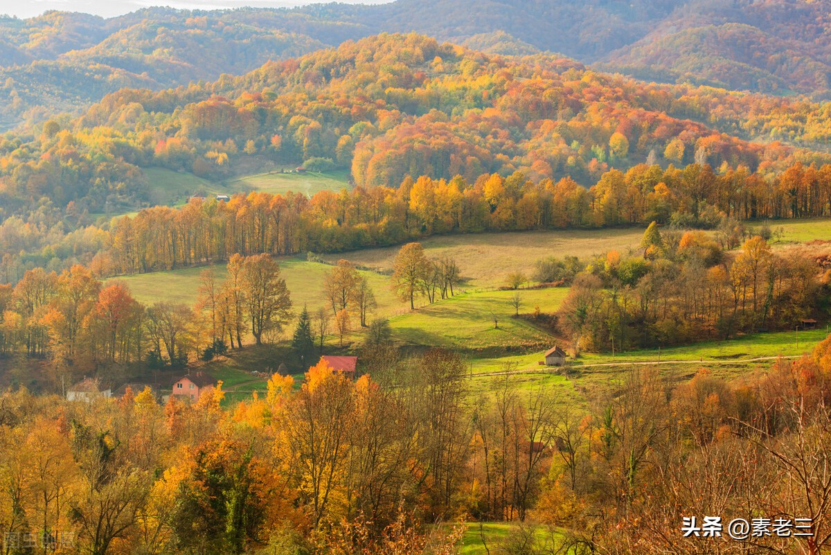 女作家去做保姆443集,女作家去做保姆最新一篇