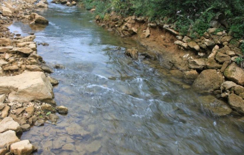 重庆独臂少年,独臂男孩重庆