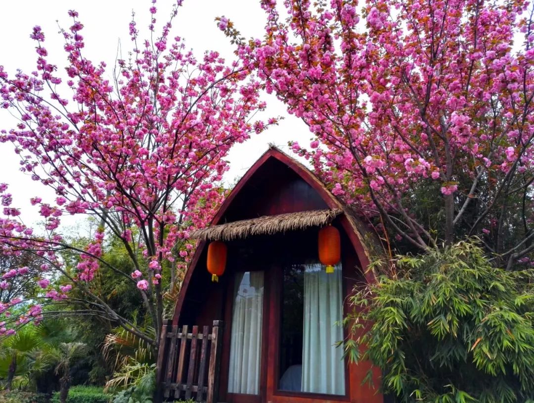 倒春寒真的来了注意保暖,广元天赐温泉冬天旅游攻略