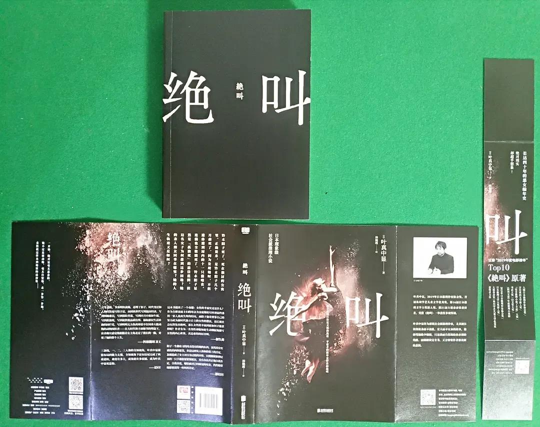 罗翔讲日本死刑,罗翔日本案例