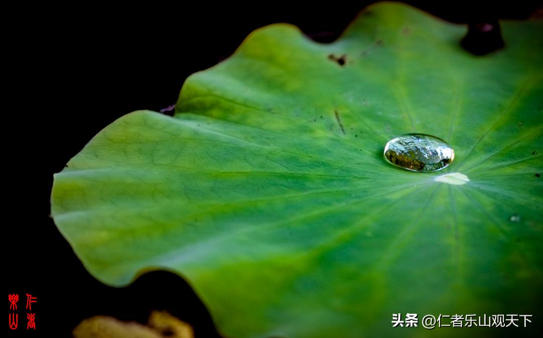 最后的摇曳——只为那绳命的回晃