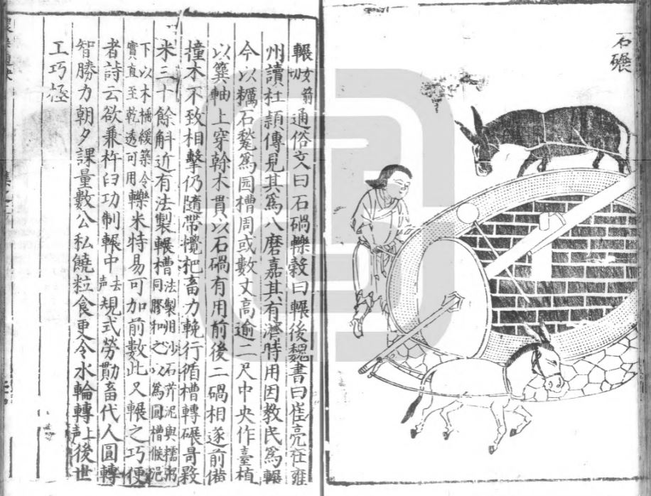 列强侵华签订的不平等条约,列强签订的不平等条约的主要目的