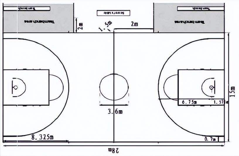 篮球体育必修课,篮球运球运动会项目