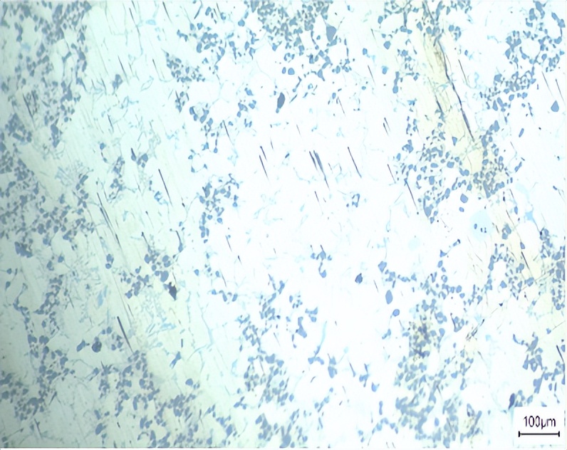 文昌新材徐骏教授：电磁搅拌吸铸技术及其在铝陶复合材料中的应用