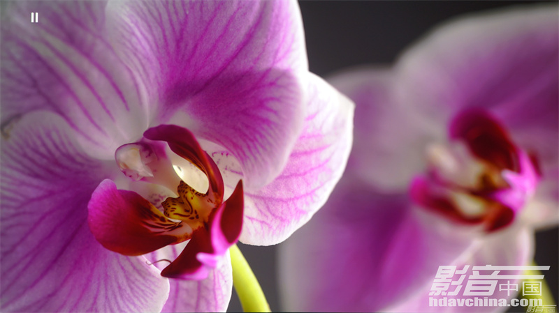 索尼xw7000激光投影机评测,索尼xw7000支持120帧吗