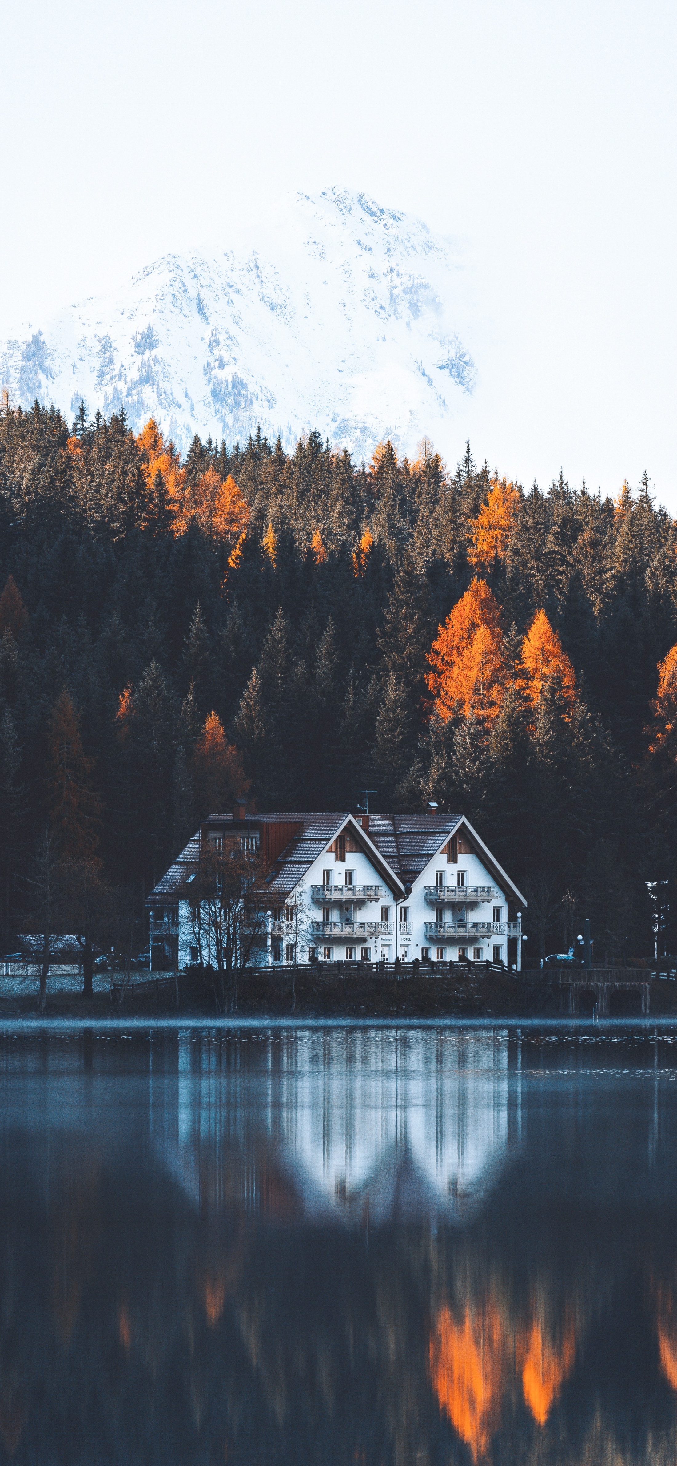 iphone13promax壁纸下载,iphone13promax壁纸动态