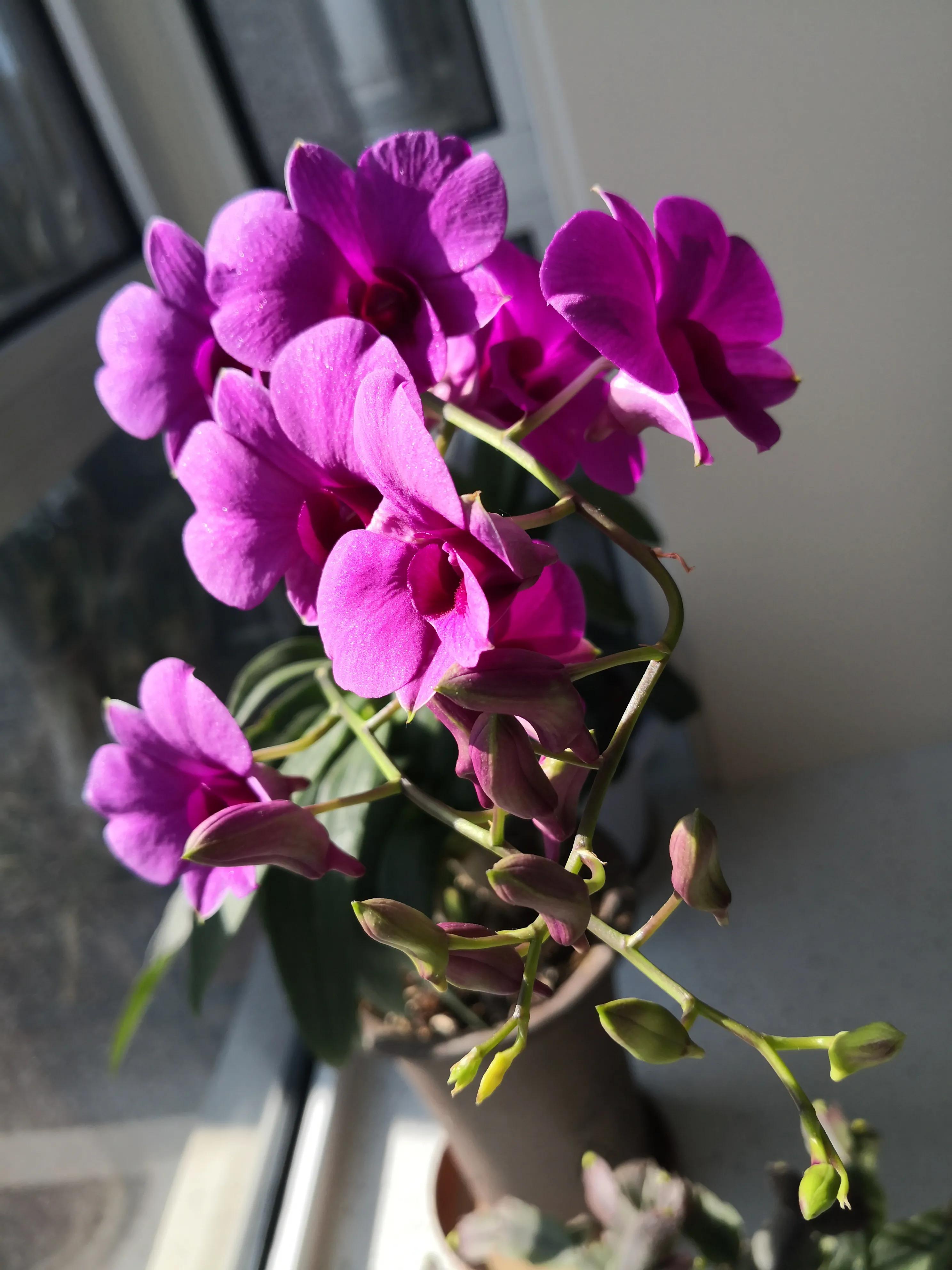 中国足球44年,足球45