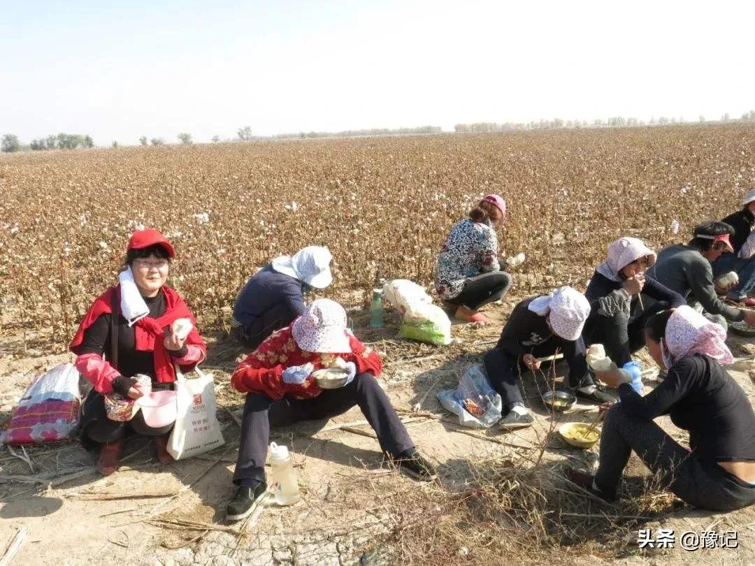 最辛苦的人们,最辛苦的人有哪些