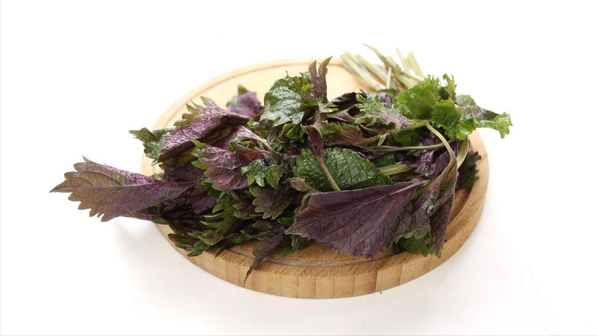 咽喉总有异物感是什么病,咽喉有异物感有痰吃什么药