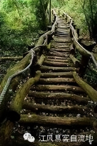 城中村的回忆,城中村的鲜活故事