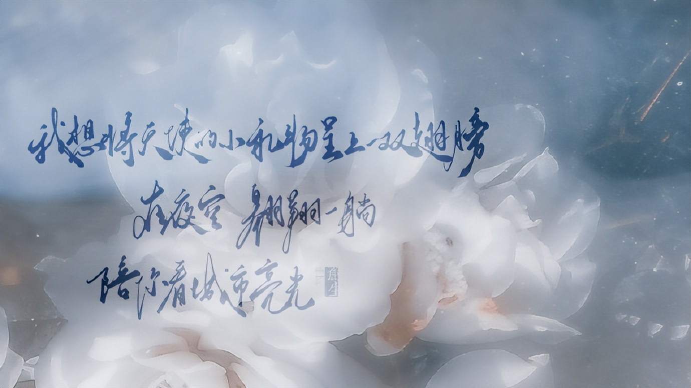 今晚的月色真美翻译,今晚的月色真美这句话有什么含义