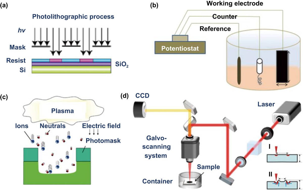 汉黄芩素纳米颗粒功能化钛/锶微纳结构界面能否促骨质疏松骨折？