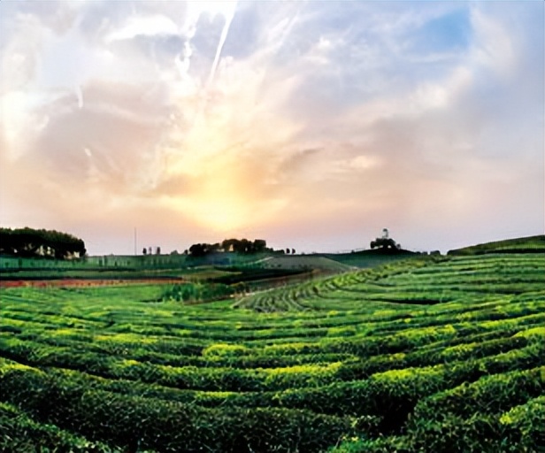 美美烟火气,城市里的烟火气南昌