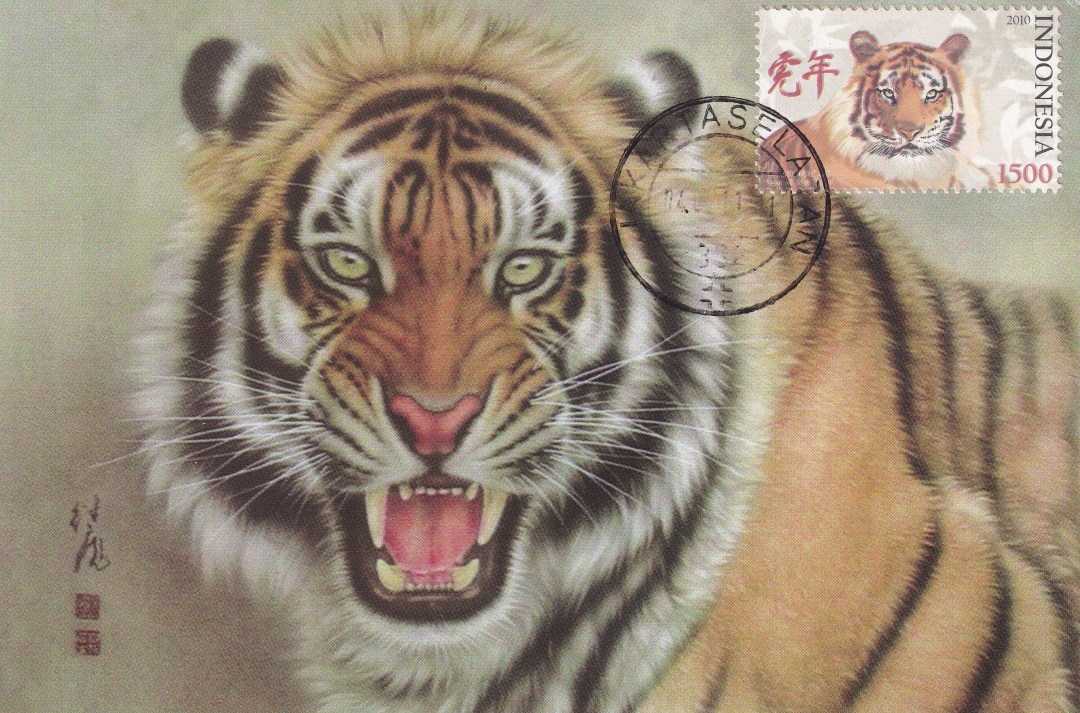 壬寅年虎首银章,壬寅年生肖虎每月运势详解