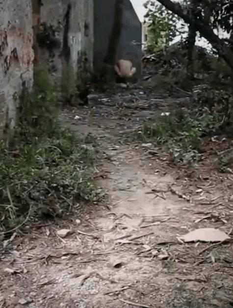 閲忓瓙鍔涘杞欢鎺ㄨ崘,閲忓瓙鍔涘杞欢