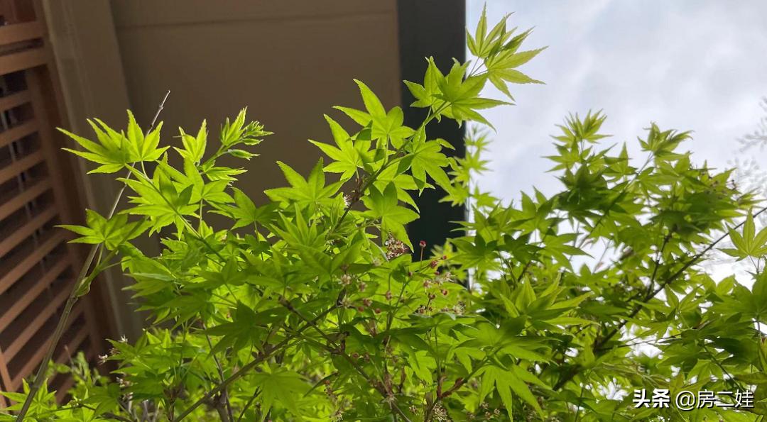 侨鑫汇景台的优势和缺点,广东天河侨鑫保利汇景台