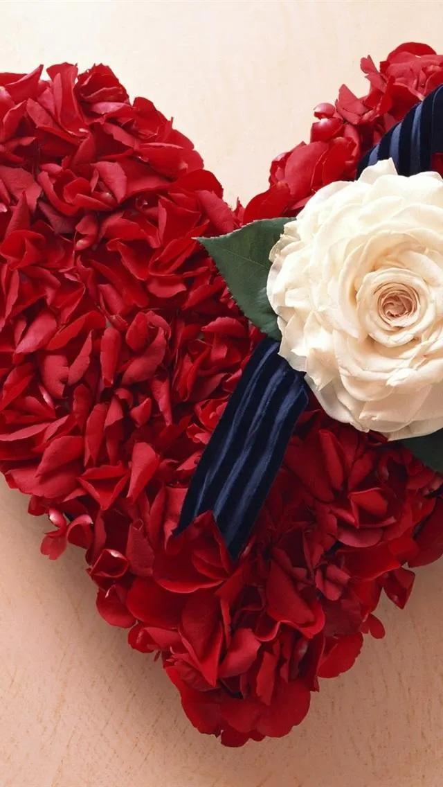 好看的的壁纸高清,好看的壁纸正方形图片