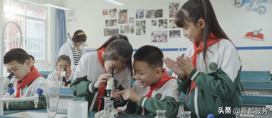 新都新建6所学校,新都市区重点学校