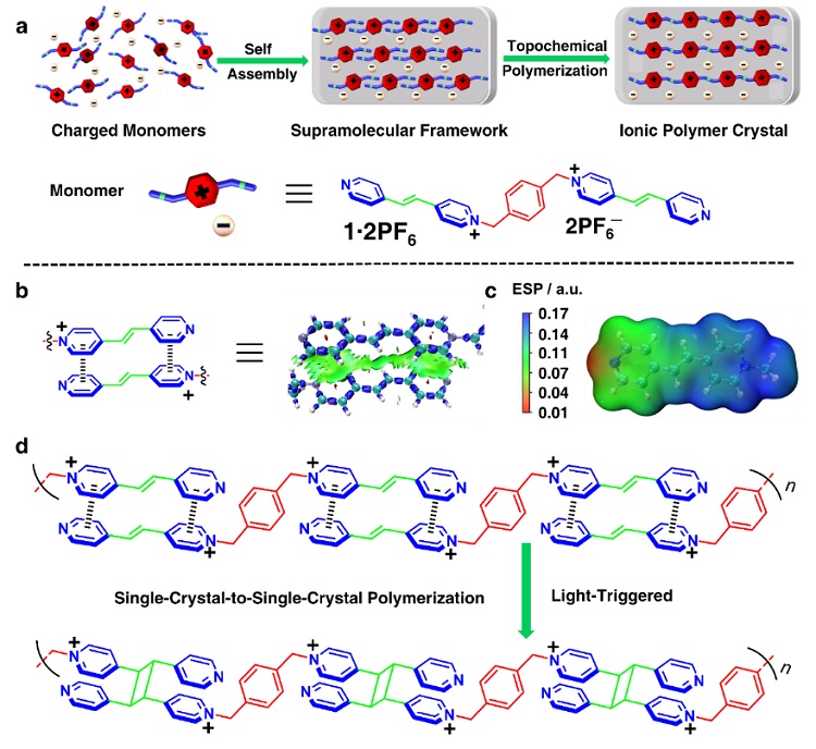 可生物降解有机铁电晶体,可溶高分子