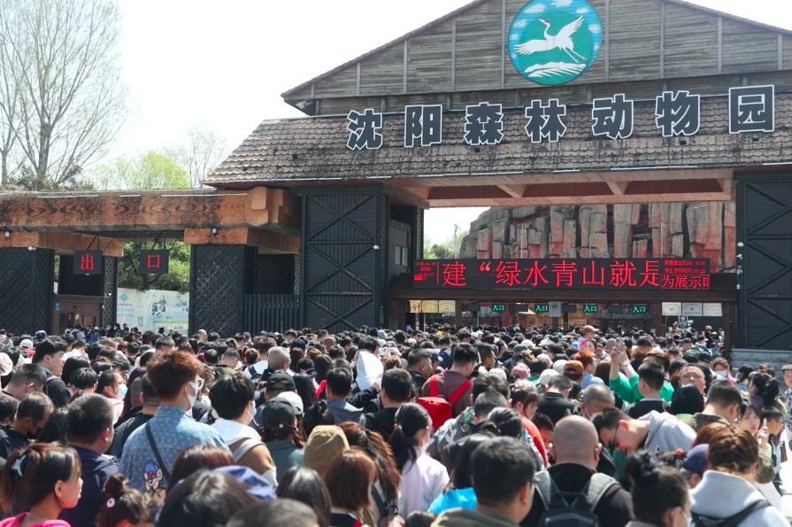 游客增长206.47%，中智游助力沈阳棋盘山交出“五一”出彩答卷